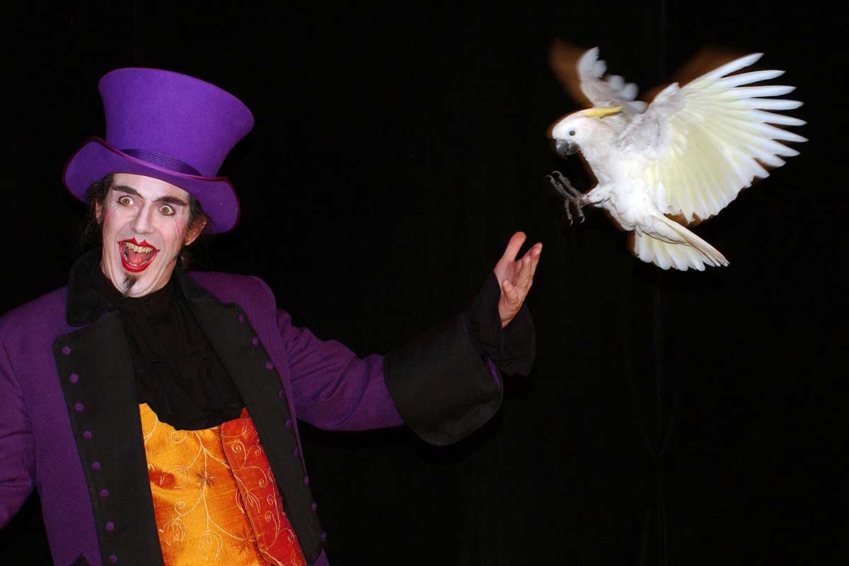 Magic show with parrot in Plus Grand Cabaret du Monde