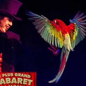 show magician with parrot